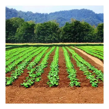 agriculture